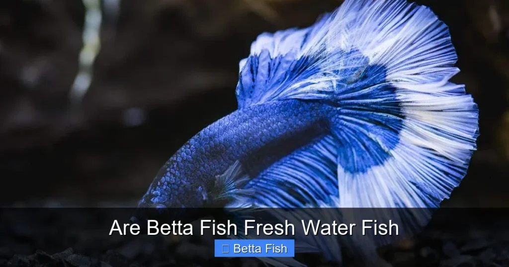 Are Betta Fish Fresh Water Fish
