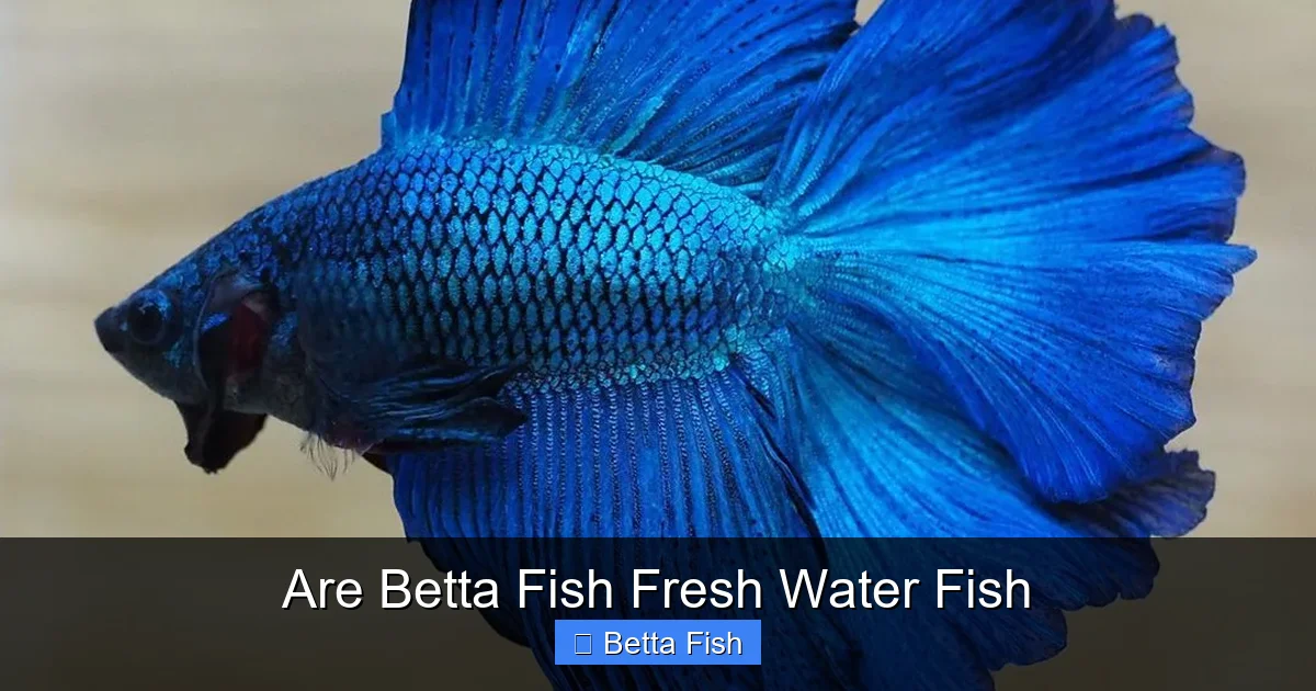 Are Betta Fish Fresh Water Fish