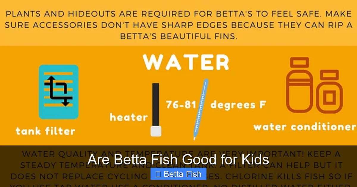 Are Betta Fish Good for Kids