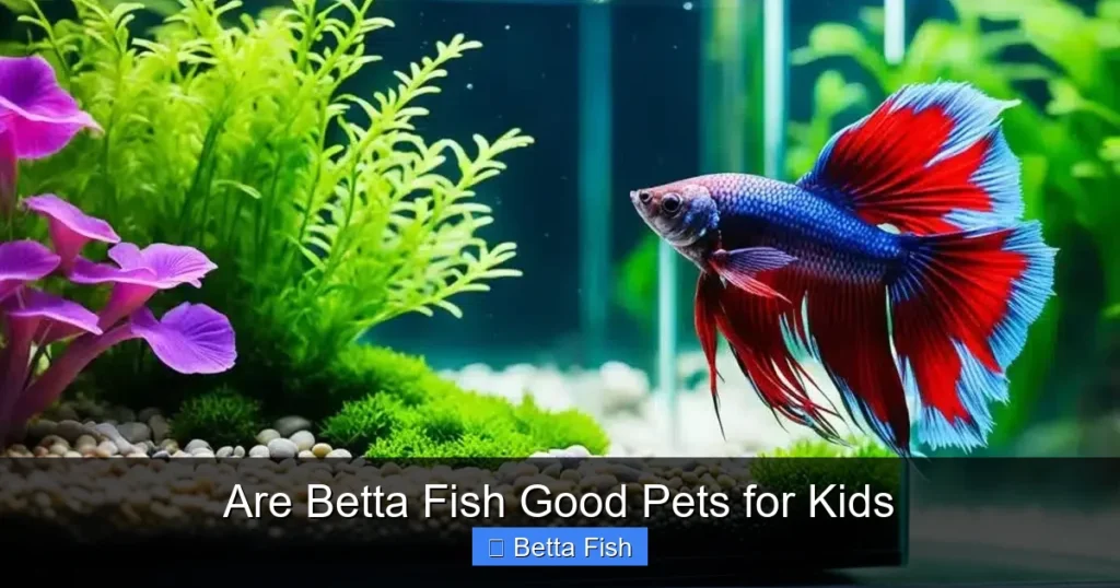 Are Betta Fish Good Pets for Kids