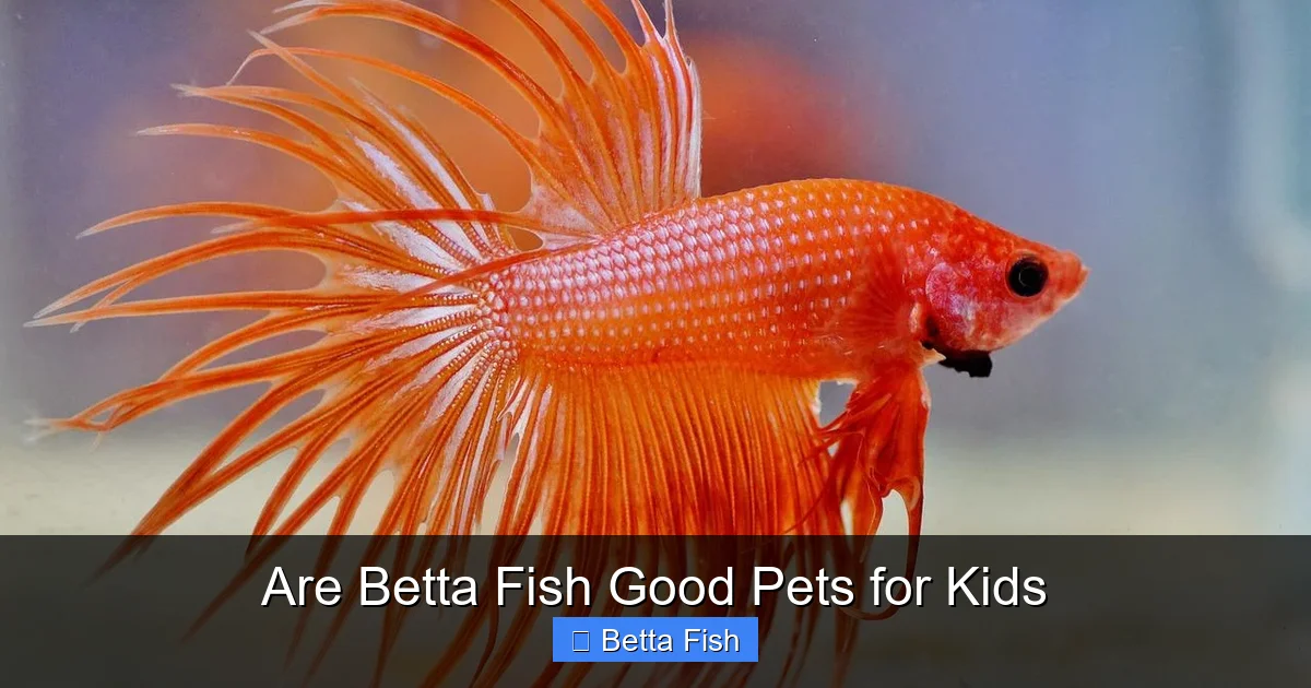 Are Betta Fish Good Pets for Kids
