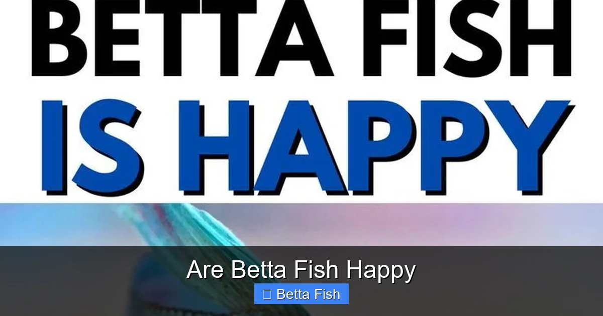 Are Betta Fish Happy