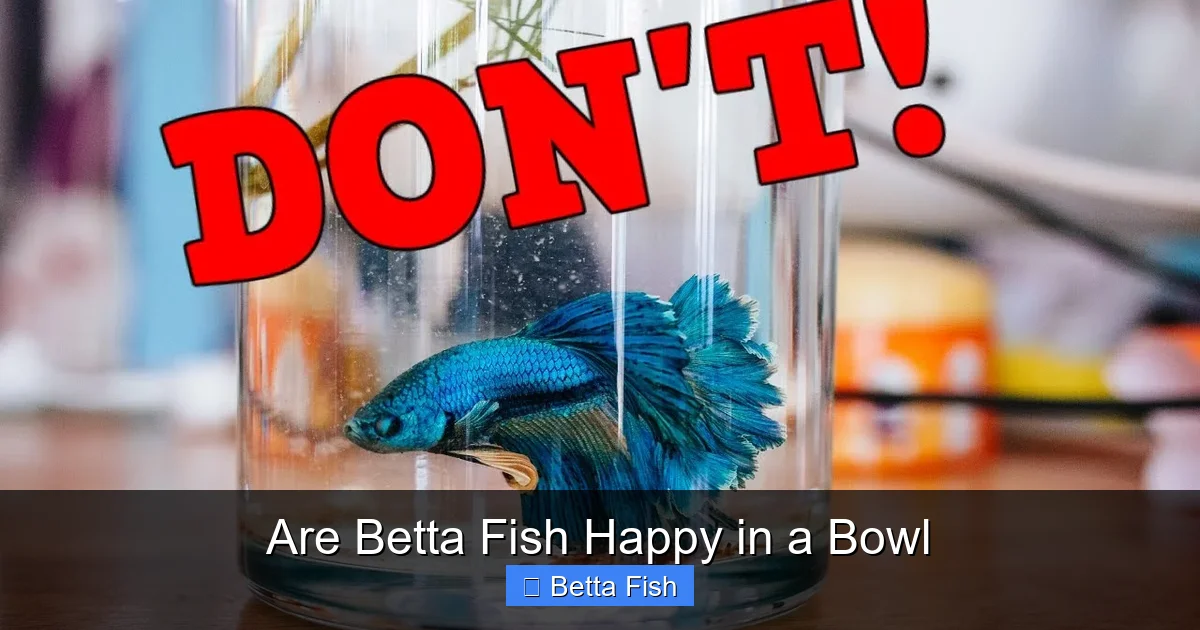 Are Betta Fish Happy in a Bowl