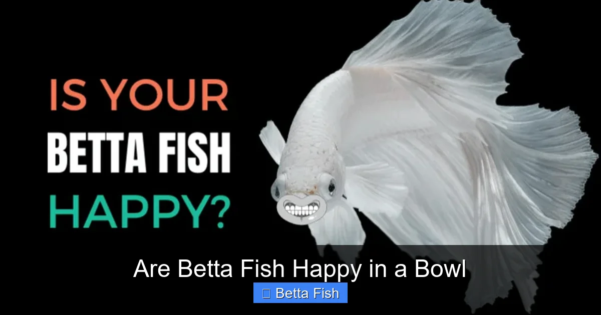Are Betta Fish Happy in a Bowl