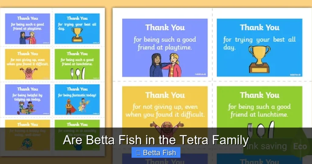 Are Betta Fish in the Tetra Family