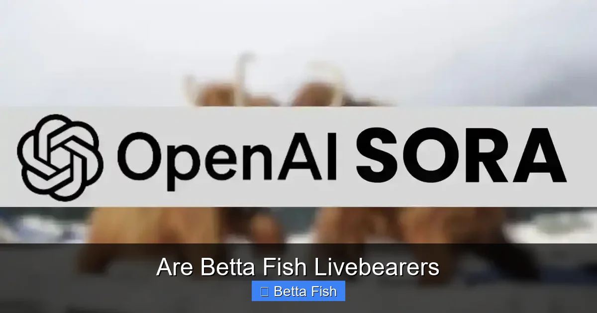 Are Betta Fish Livebearers