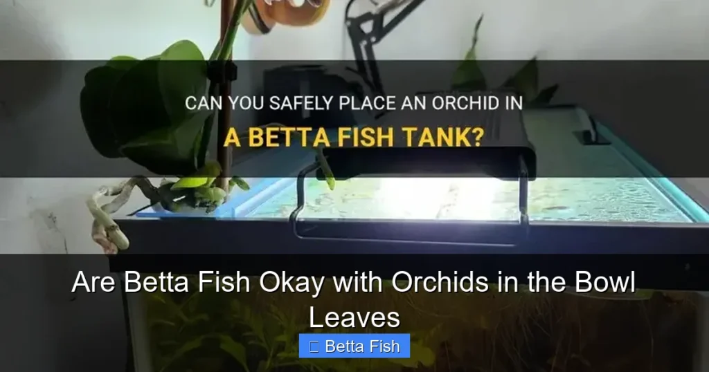 Are Betta Fish Okay with Orchids in the Bowl Leaves