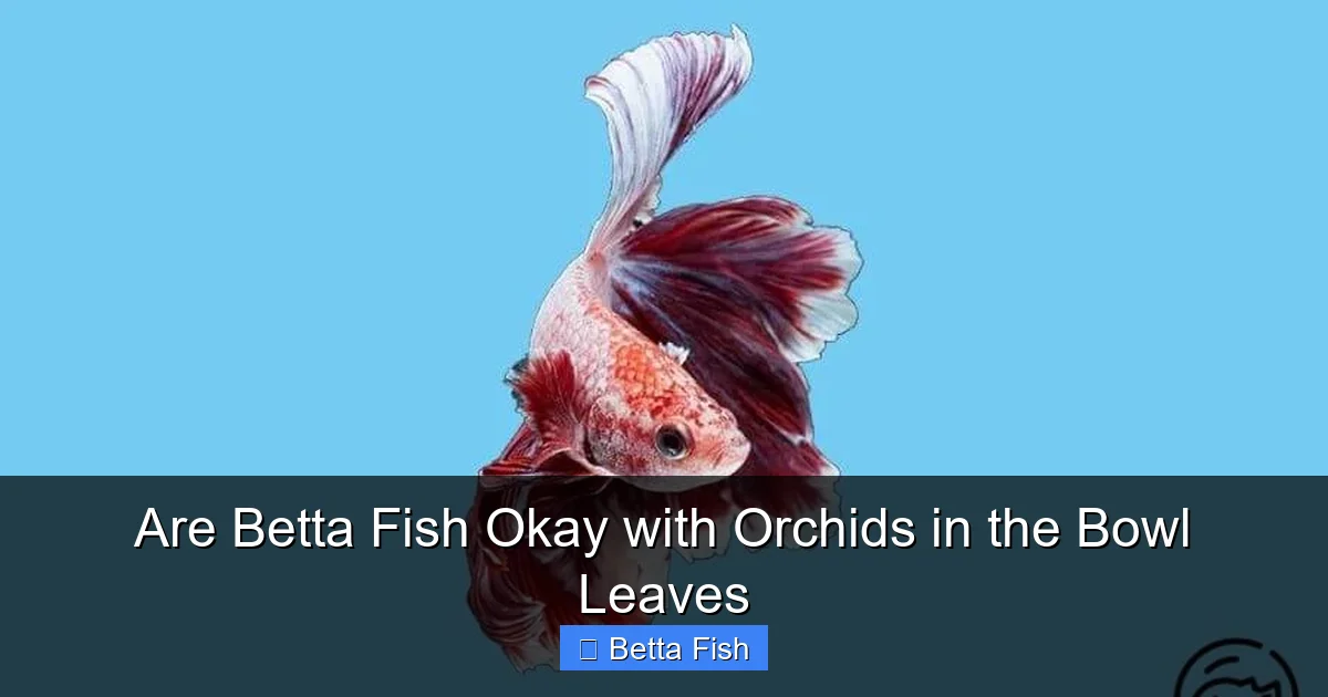 Are Betta Fish Okay with Orchids in the Bowl Leaves