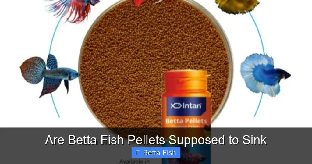 Are Betta Fish Pellets Supposed to Sink