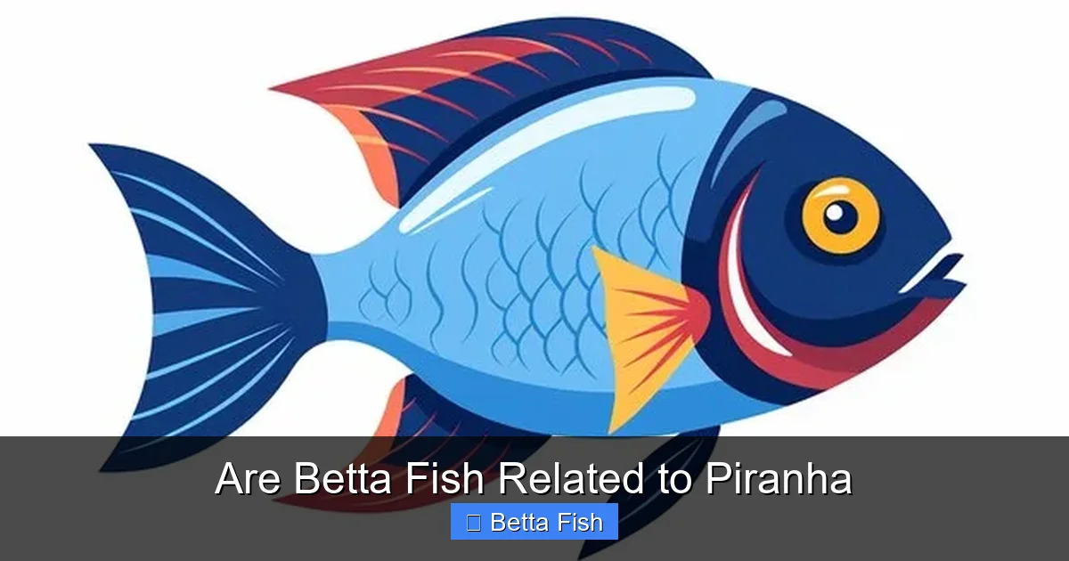 Are Betta Fish Related to Piranha