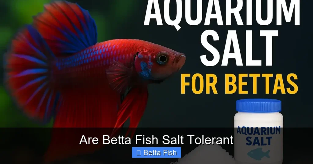 Are Betta Fish Salt Tolerant