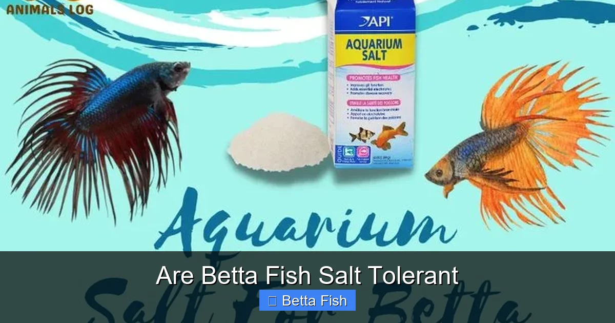 Are Betta Fish Salt Tolerant