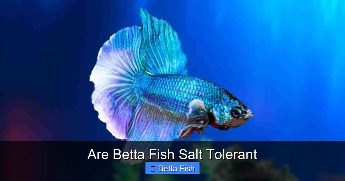 Are Betta Fish Salt Tolerant