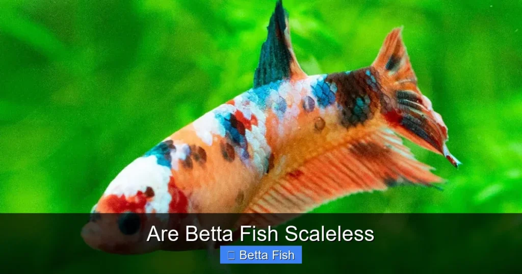 Are Betta Fish Scaleless