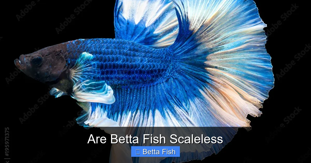 Are Betta Fish Scaleless
