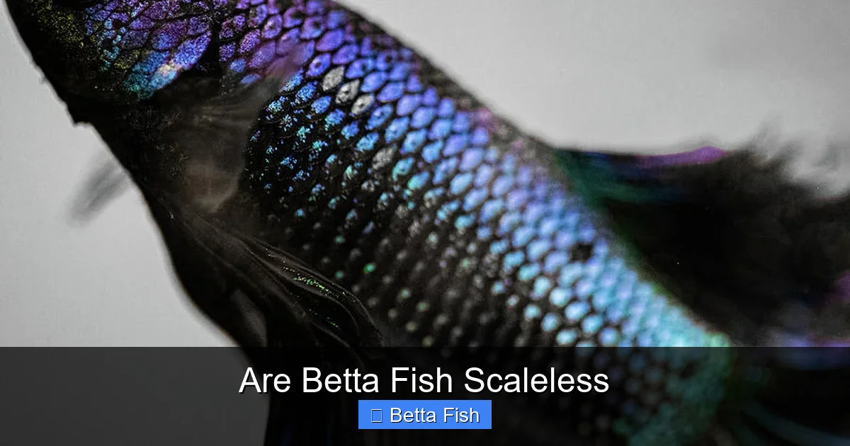 Are Betta Fish Scaleless