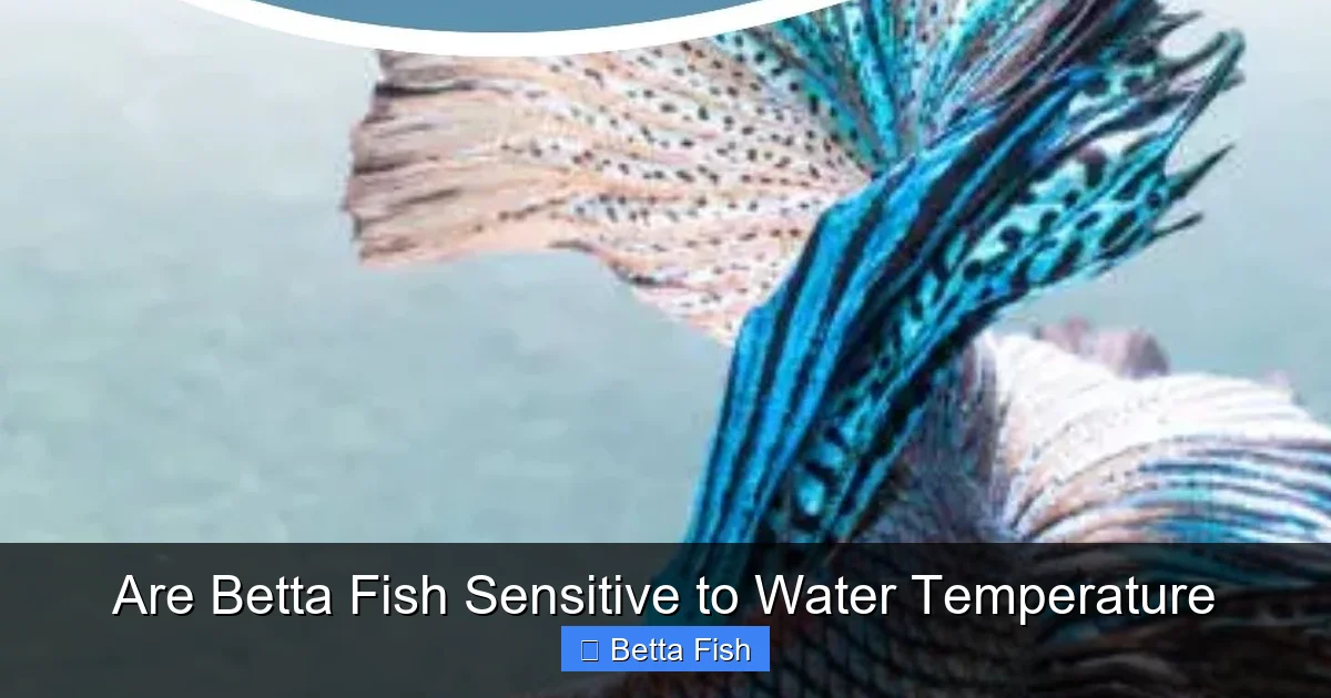 Are Betta Fish Sensitive to Water Temperature