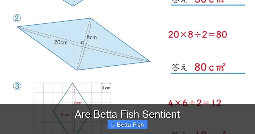 Are Betta Fish Sentient