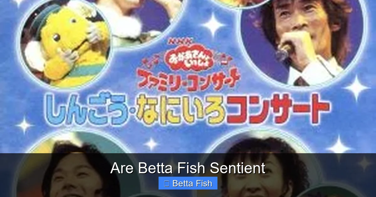 Are Betta Fish Sentient