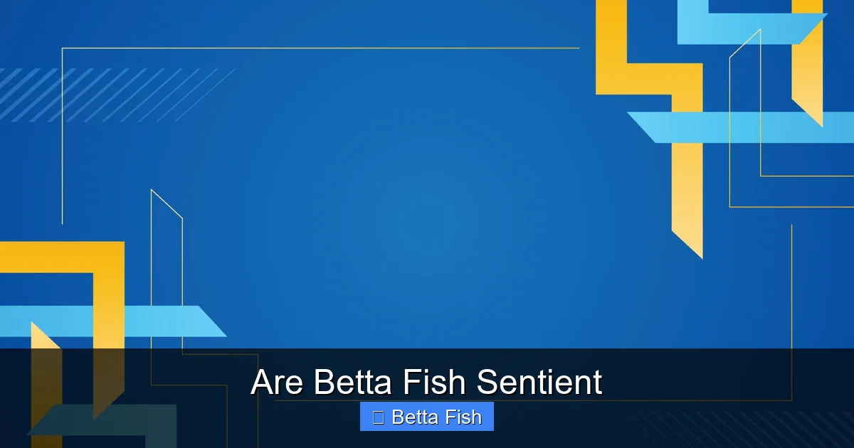 Are Betta Fish Sentient