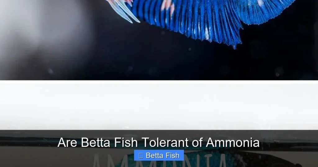 Are Betta Fish Tolerant of Ammonia