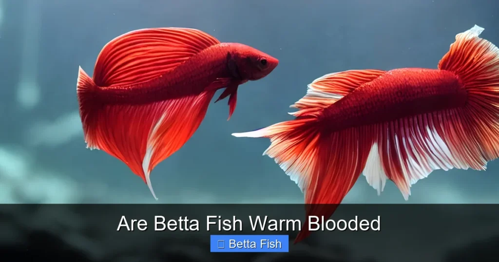 Are Betta Fish Warm Blooded