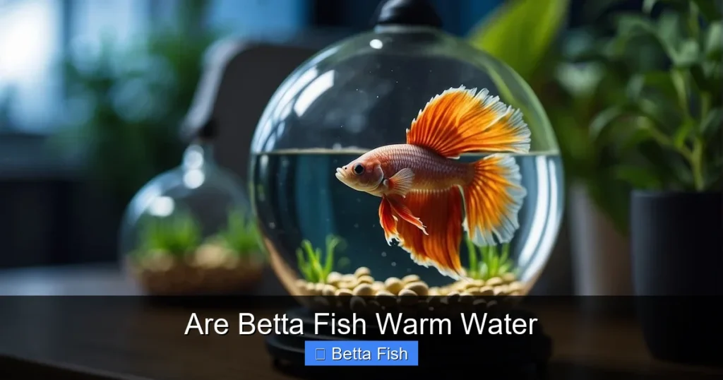 Are Betta Fish Warm Water
