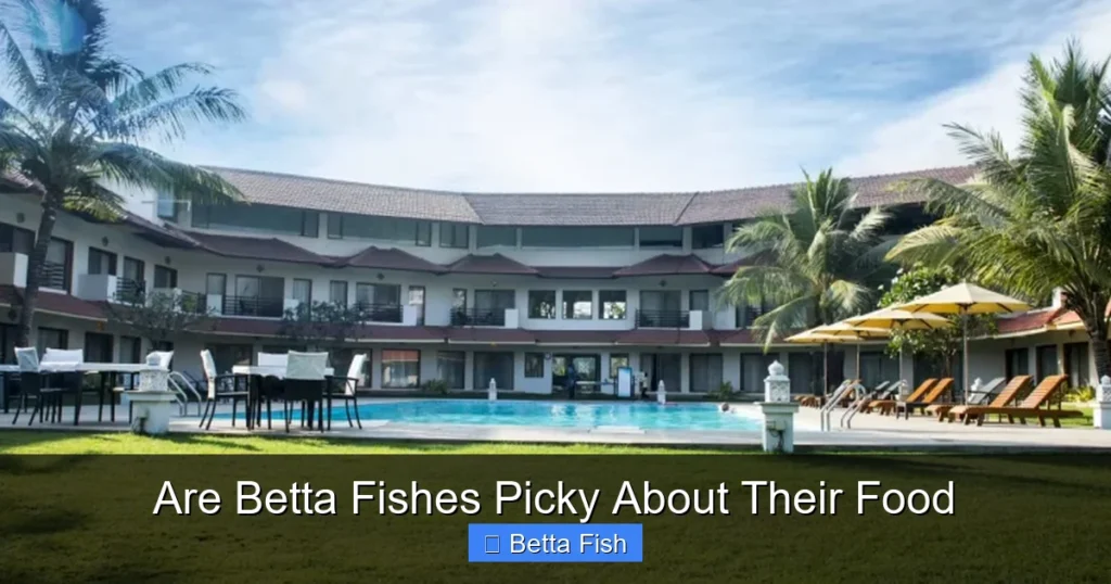 Are Betta Fishes Picky About Their Food