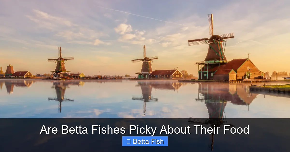 Are Betta Fishes Picky About Their Food