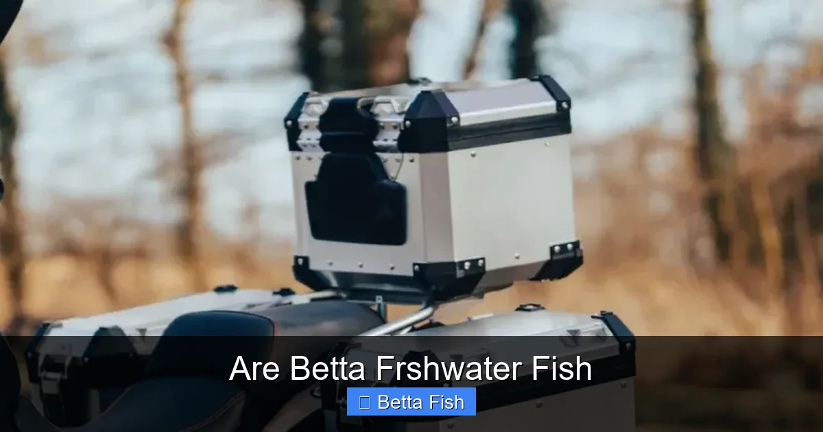 Are Betta Frshwater Fish