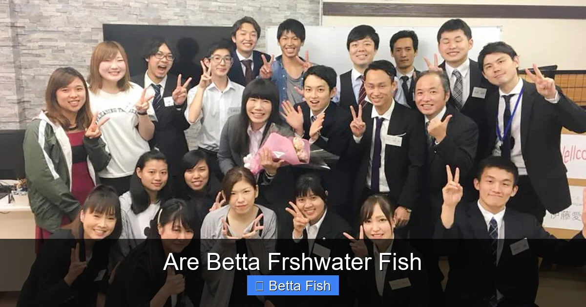 Are Betta Frshwater Fish