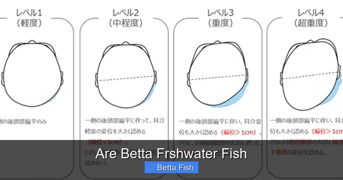 Are Betta Frshwater Fish