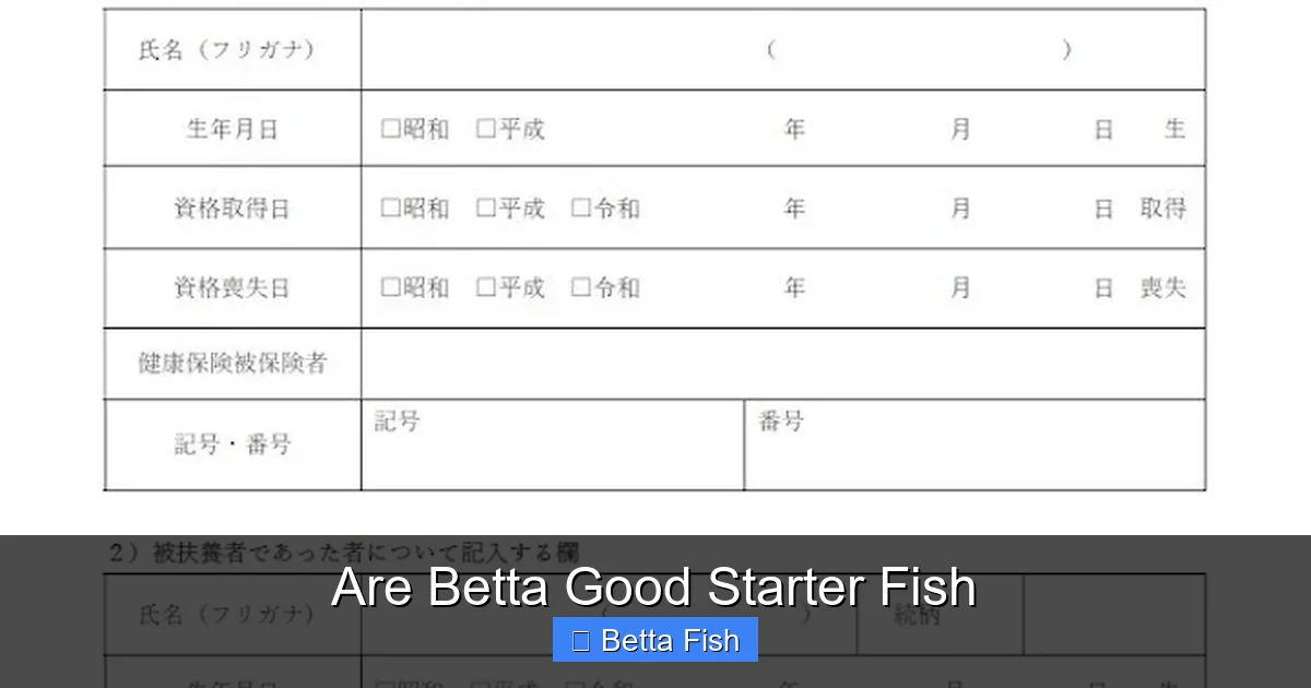 Are Betta Good Starter Fish