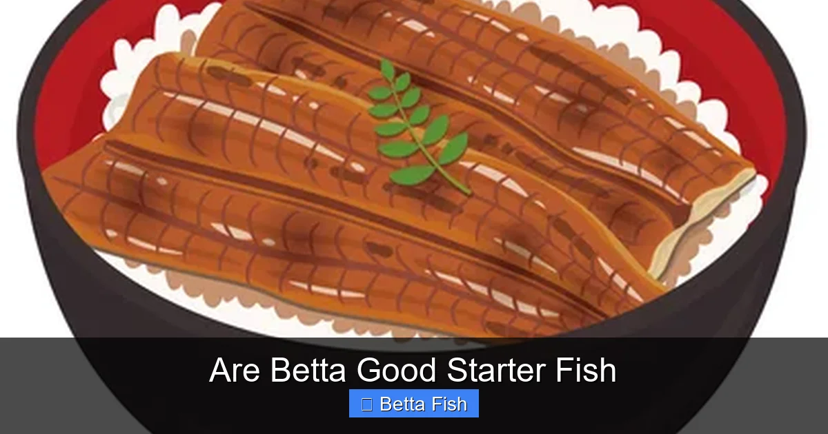 Are Betta Good Starter Fish