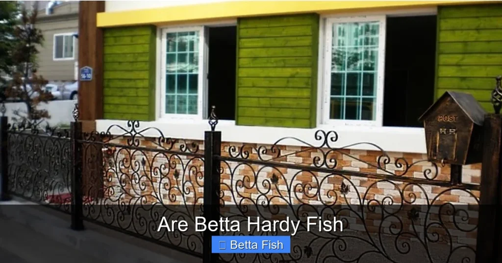 Are Betta Hardy Fish