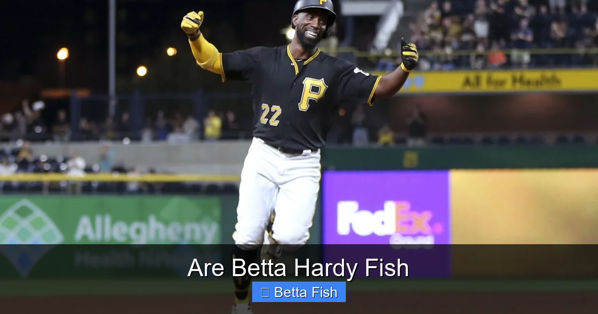 Are Betta Hardy Fish