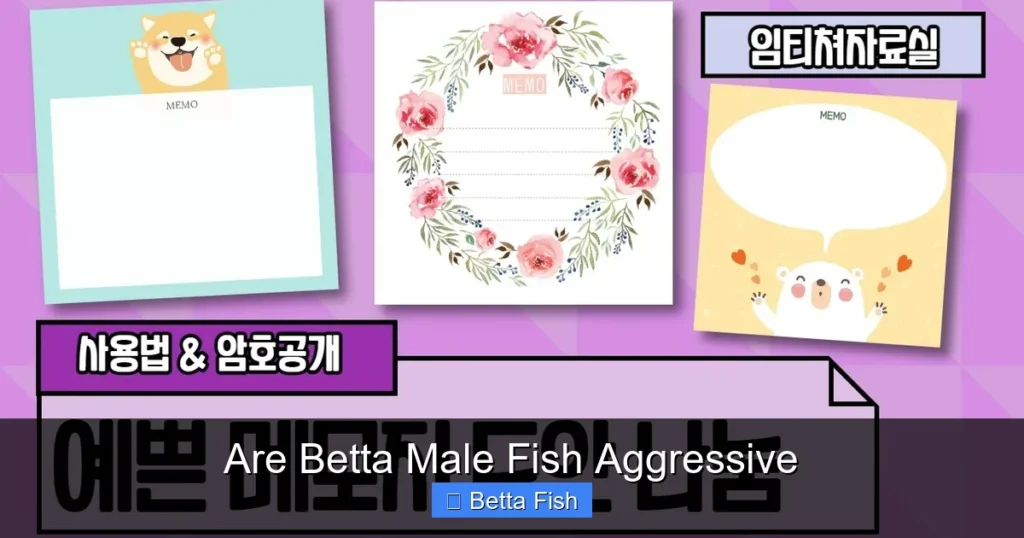 Are Betta Male Fish Aggressive