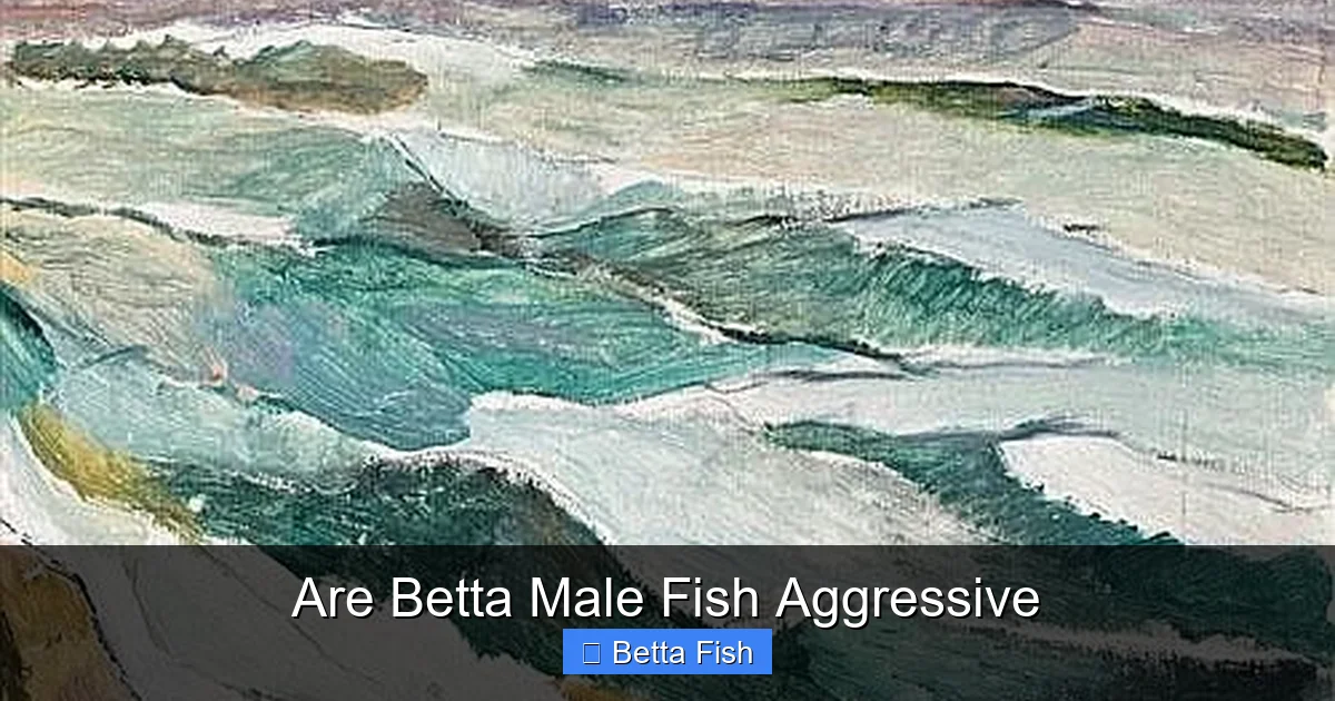 Are Betta Male Fish Aggressive