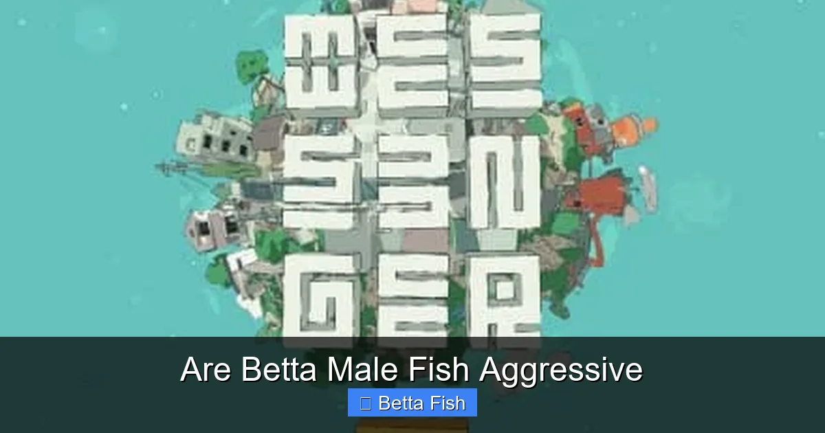 Are Betta Male Fish Aggressive