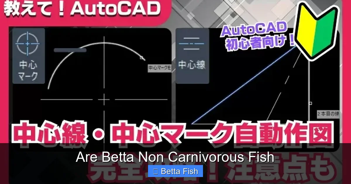 Are Betta Non Carnivorous Fish