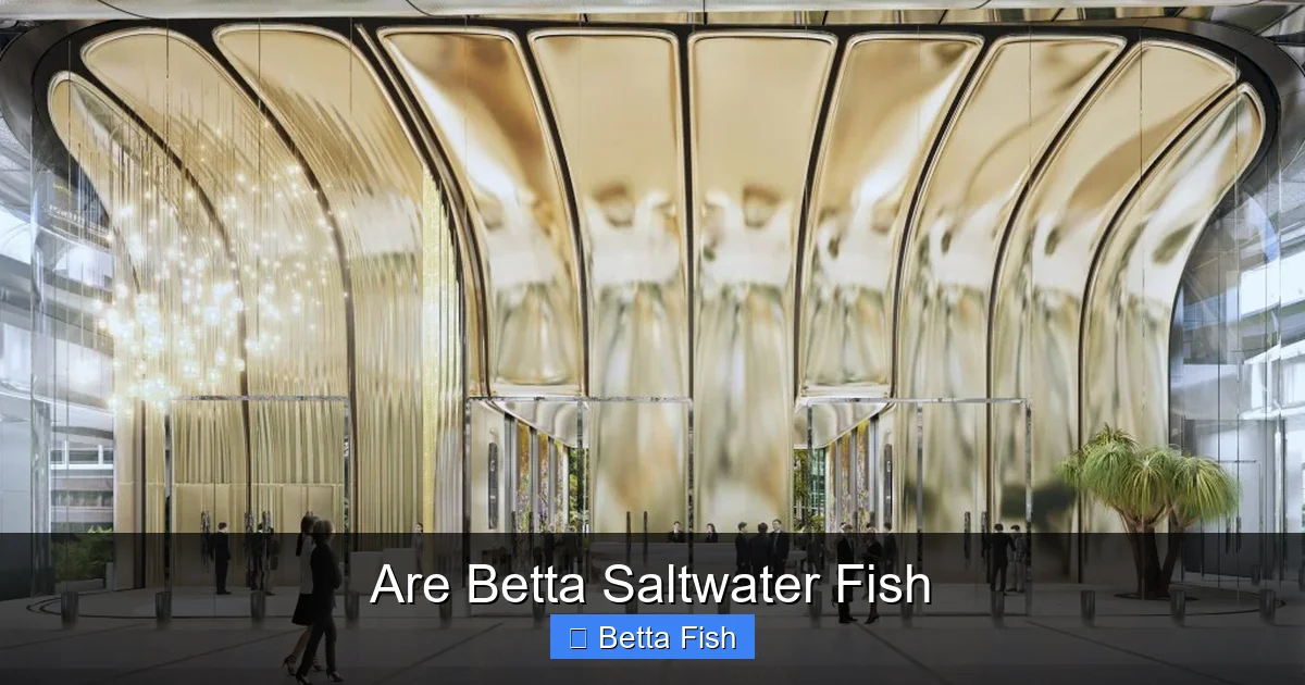 Are Betta Saltwater Fish