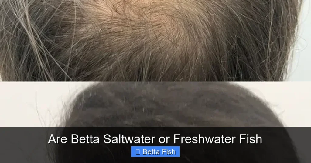 Are Betta Saltwater or Freshwater Fish