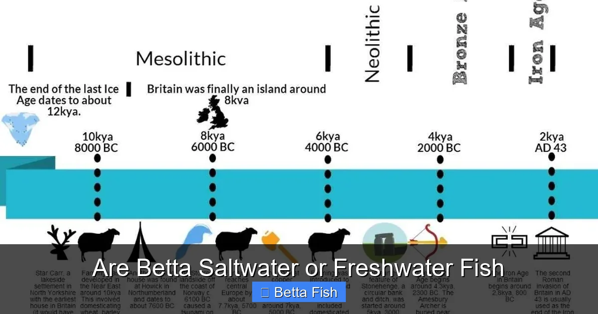 Are Betta Saltwater or Freshwater Fish