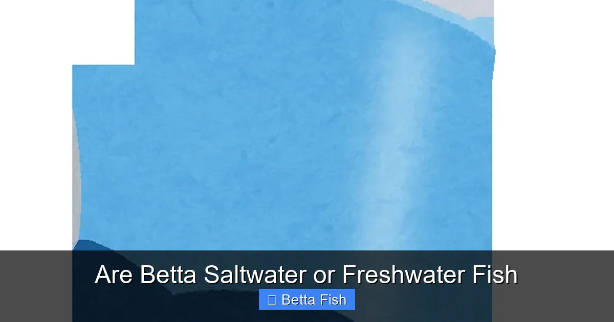Are Betta Saltwater or Freshwater Fish