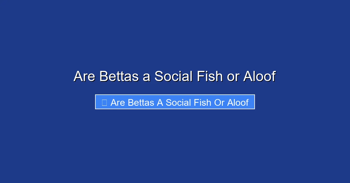 Are Bettas a Social Fish or Aloof