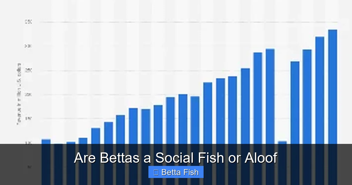 Are Bettas a Social Fish or Aloof