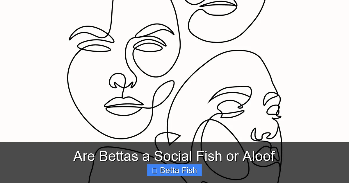 Are Bettas a Social Fish or Aloof