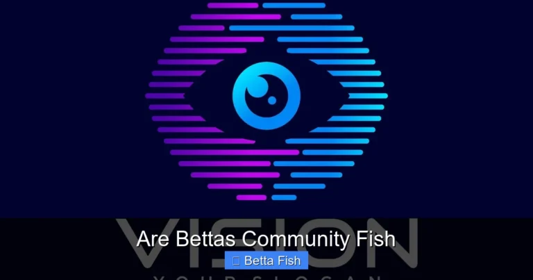 Are Bettas Community Fish