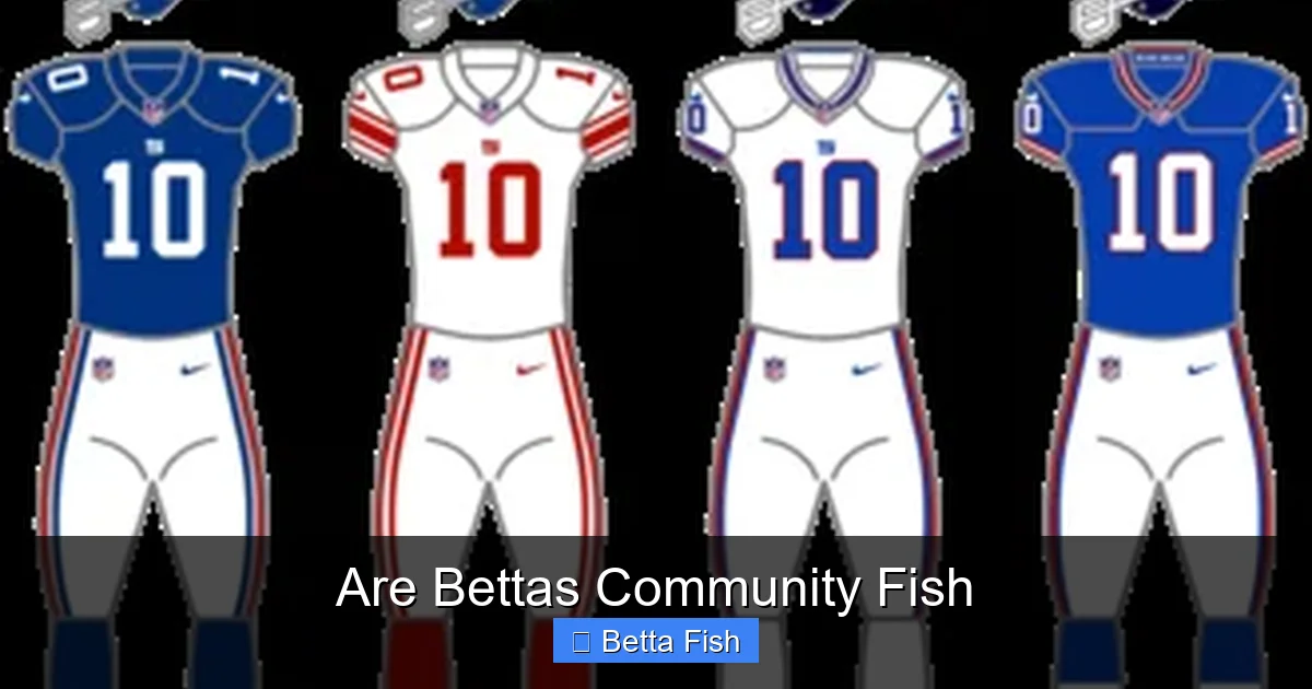Are Bettas Community Fish
