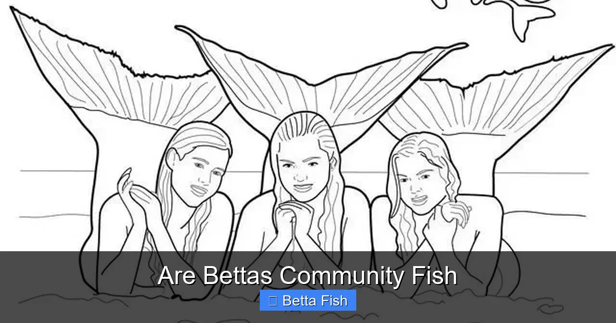 Are Bettas Community Fish